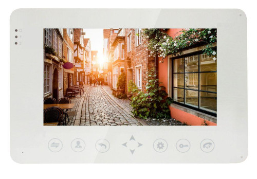 Видеодомофон AltCam VDP101M VZ