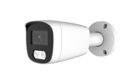 Видеокамера IP AltCam ICF41IR